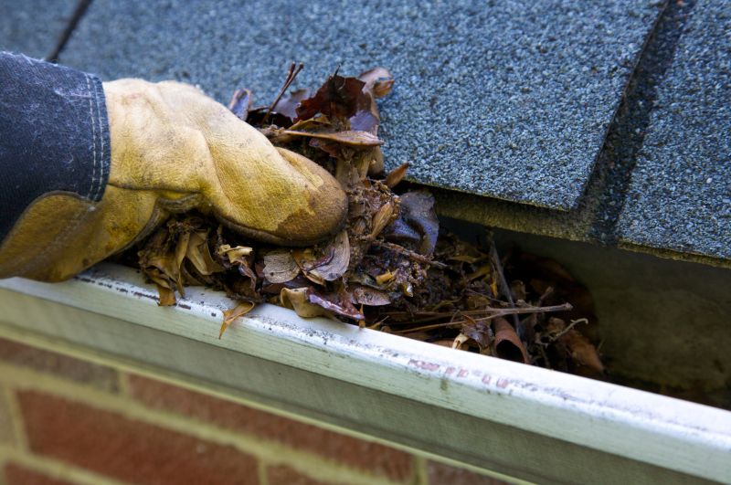 Clogged Gutter Blockage
